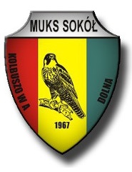 sokol_kolbuszowa_dolna.jpg