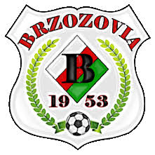 brzozovia_brzozow.jpg