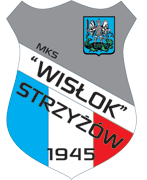 wislok_strzyzow.png